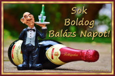 Nvnapi kpeslap Balzs napra