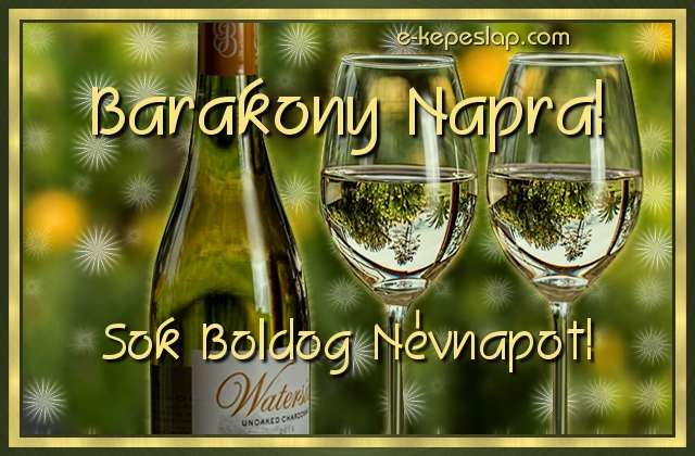 dvzllap Barakony napra