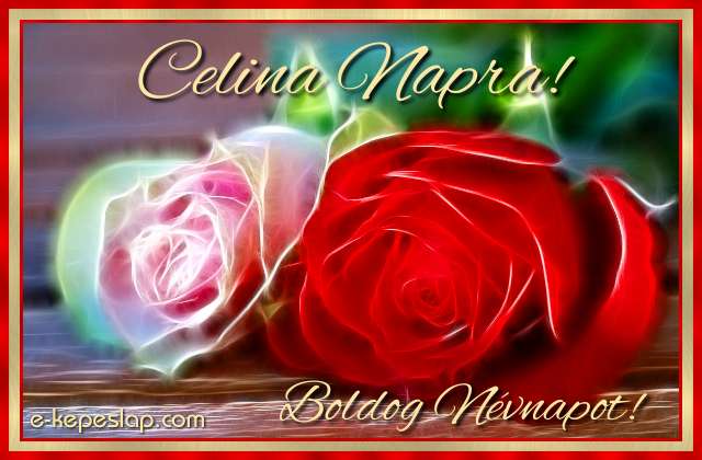 dvzllap Celina napra