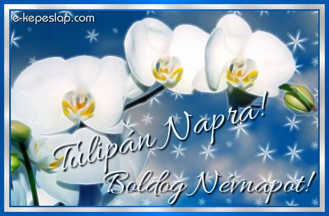 Nvnapi kpeslap Tulipn nvnapra fehr orchideval s szemlyre szl ksznt felirattal.