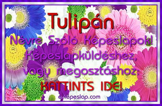 Tulipn nvre szl kpeslapok